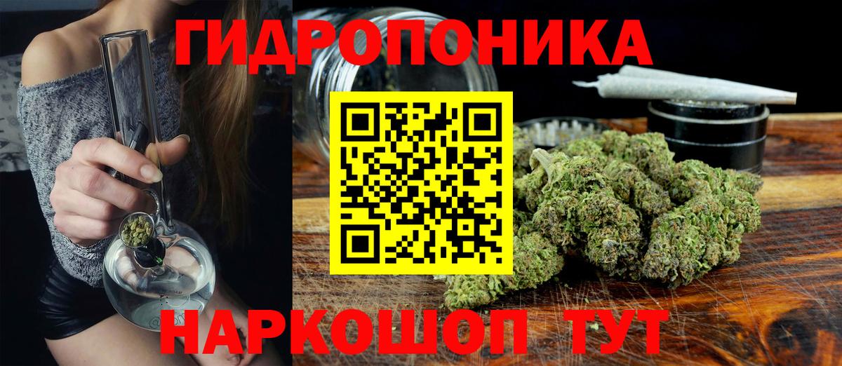 Бошки Шишки планчик Александров